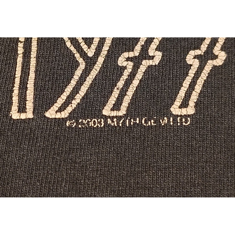 Led Zeppelin 1977 US Tour T-Shirt Hanes Heavyweight Icarus Large Y2K Vintage - Picture 2 of 8